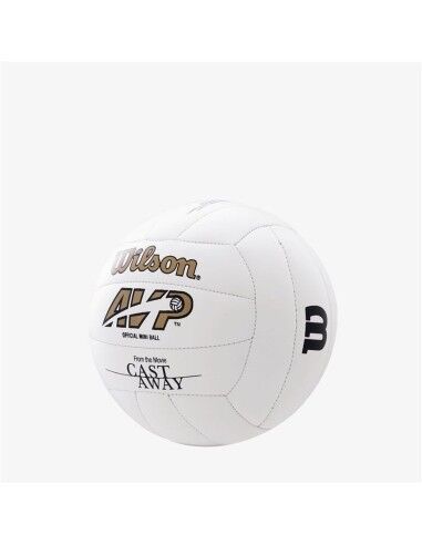 Volleyball Wilson Castaway Mini