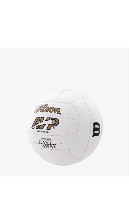 Volleyball Wilson Castaway Mini