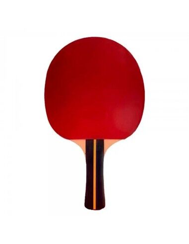 Tafeltennisracket Softee P200