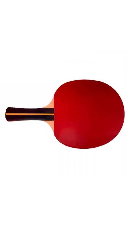 Tafeltennisracket Softee P200