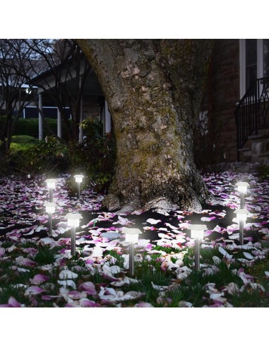 Lampe solaire Lumisky Alesia LED Argenté Acier inoxydable Blanc froid 6500K (8 Unités)