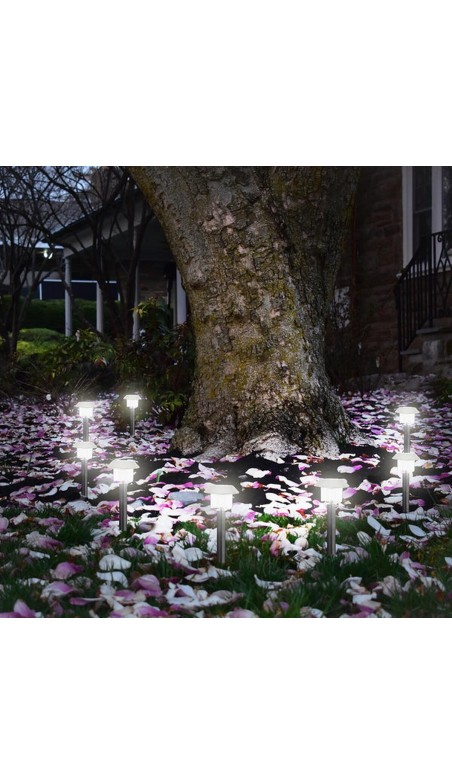 Lampe solaire Lumisky Alesia LED Argenté Acier inoxydable Blanc froid 6500K (8 Unités)