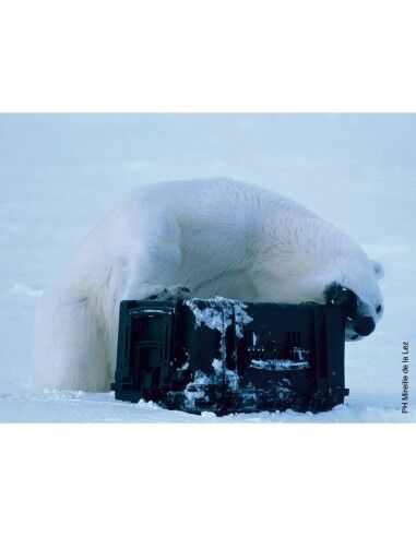 Valigetta Degli Attrezzi GT Line EXPLORER 2214 24,5 x 21,5 x 16,2 cm Metallo polipropilene