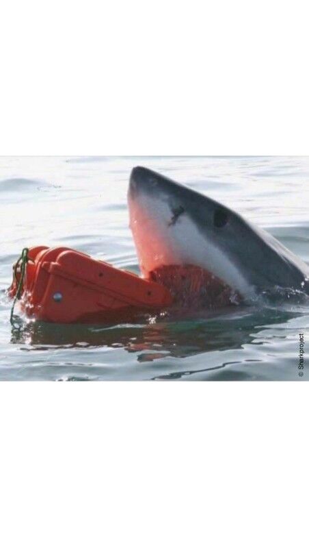 Werkzeugsatz GT Line EXPLORER 5122 Schaum 54,6 x 34,7 x 24,7 cm