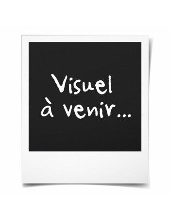 Activity-Armband Casio EFR-S108D-7AVUEF Silberfarben