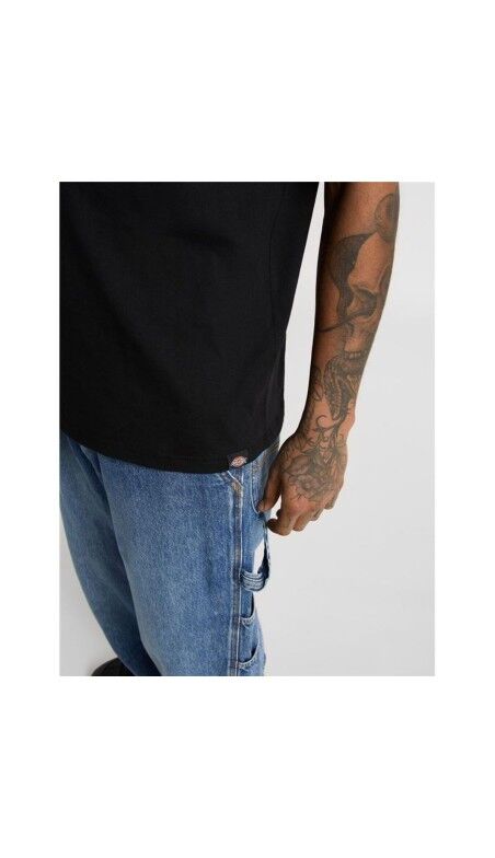 T-shirt à manches courtes homme Dickies Bolivar Ss Noir