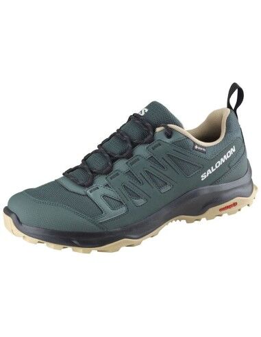 Chaussures de marche pour homme Salomon Storen GTX Turquoise