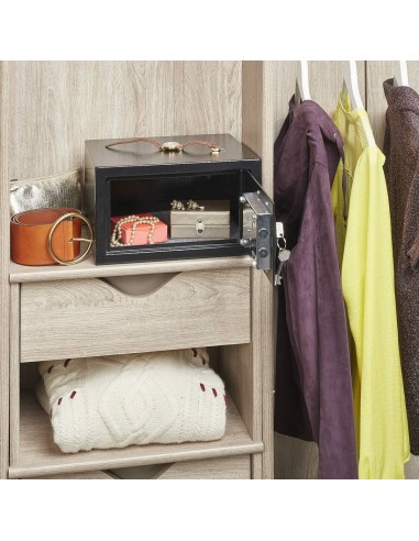 Kluis Master Lock X031ML