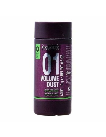 Soin volumateur Volume Dust Salerm (10 g)