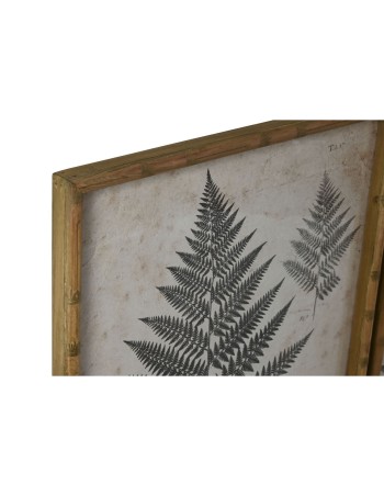 Cadre Home ESPRIT Verre Sapin 50 x 3 x 70 cm 50 x 2,5 x 70 cm 2