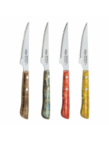 Ensemble de couteaux à viande San Ignacio Evergreen BGEU-6076 Acier inoxydable