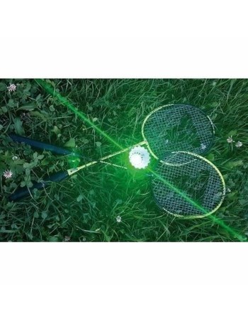 Badmintonracket Schildkröt 2