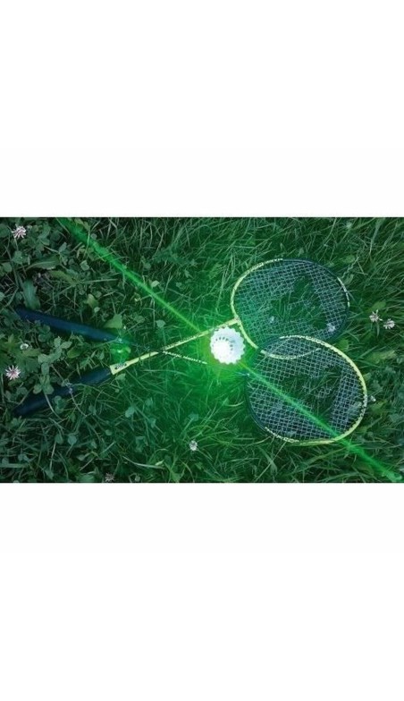 Badmintonracket Schildkröt