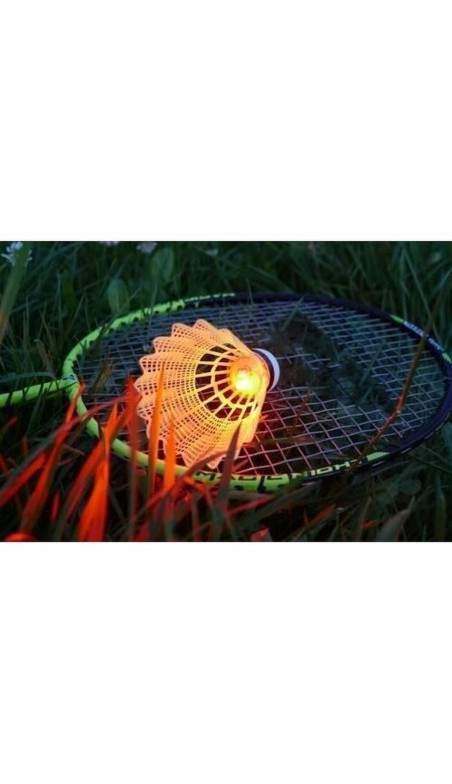 Badmintonracket Schildkröt