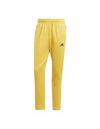 Pantalón de Entrenamiento de Fútbol para Adultos Adidas Hombre M