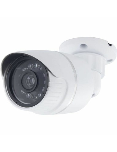 Fausse caméra de surveillance Chacon