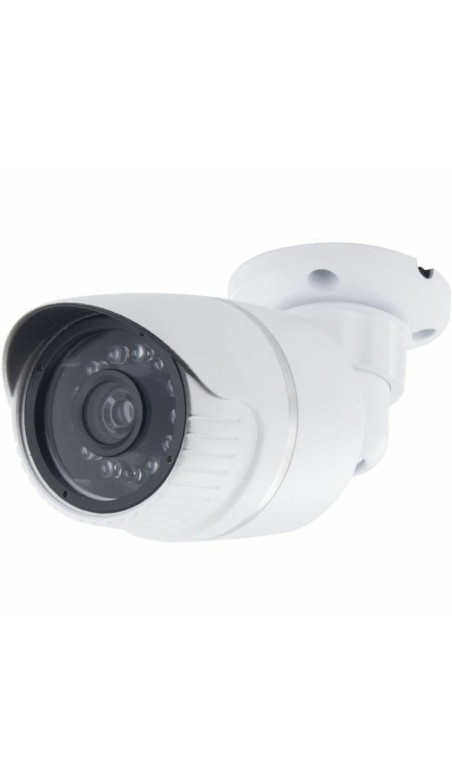 Geïmiteerde bewakingscamera Chacon