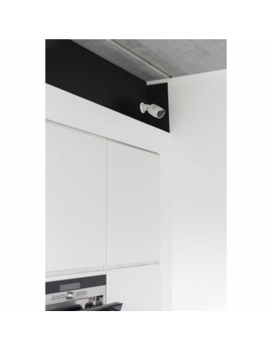 Geïmiteerde bewakingscamera Chacon