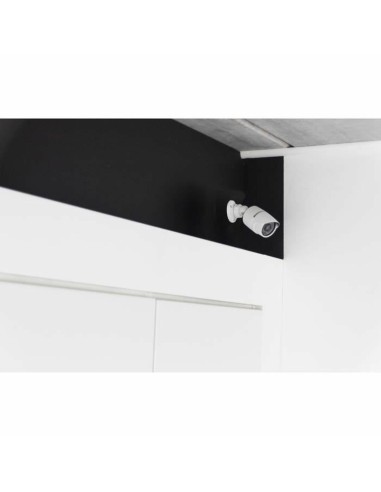 Fausse caméra de surveillance Chacon