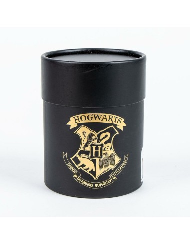 Chaussettes Harry Potter