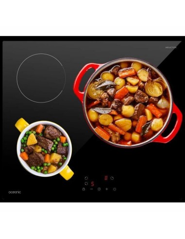 Plaque à Induction Oceanic