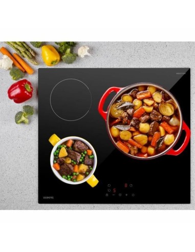 Plaque à Induction Oceanic