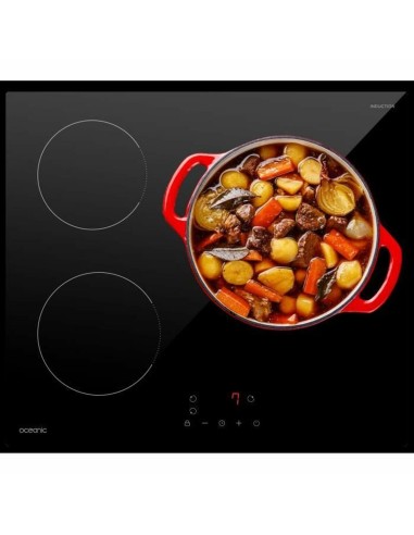 Induktionskochfeld Oceanic