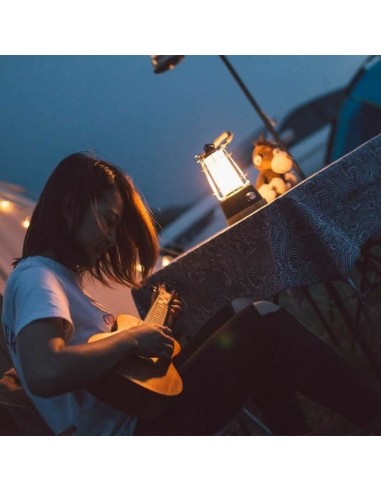 Lanterne Lumisky WILDY