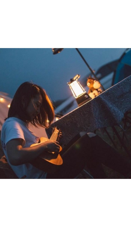 Lanterne Lumisky WILDY