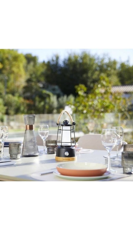 Lanterna Lumisky WILDY