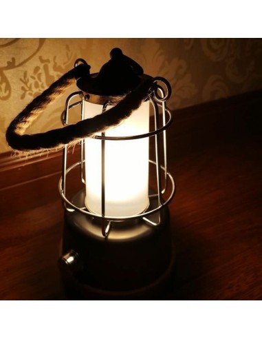 Lanterna Lumisky WILDY