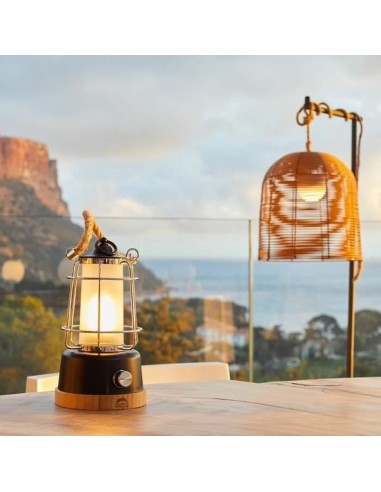 Lanterna Lumisky WILDY