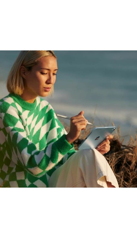 Tablette Apple iPad mini 8,3" 128 GB Gris