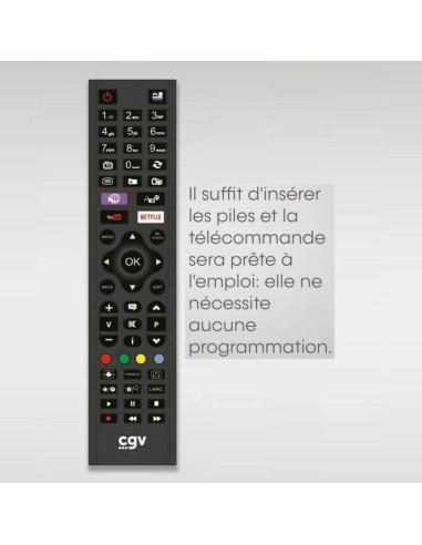 Telecomando Universale CGV