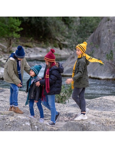 Bonne et écharpe Harry Potter