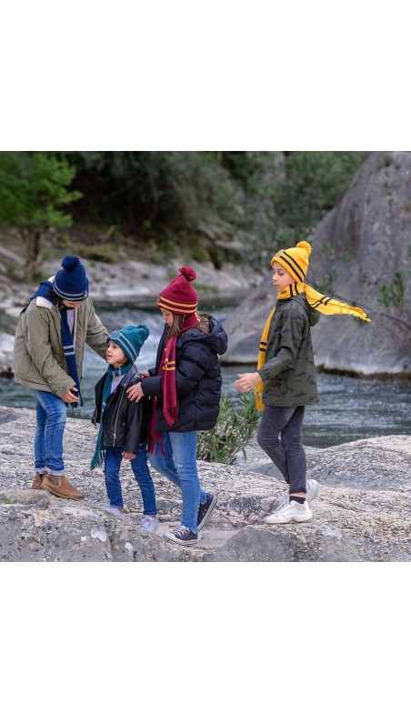 Bonne et écharpe Harry Potter