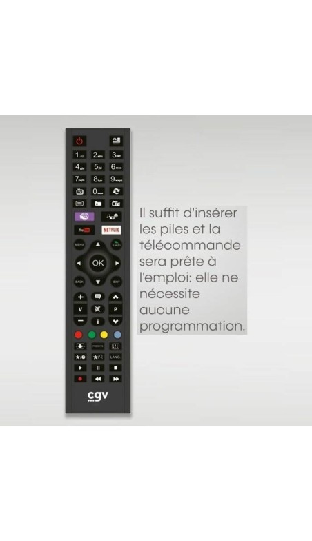 Télécommande Universelle CGV FIDELIO