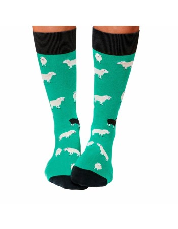 Chaussettes Jimmy Lion Black Sheep Aigue marine 41-46