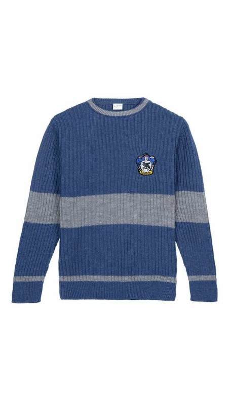 Pull homme Harry Potter Bleu XS