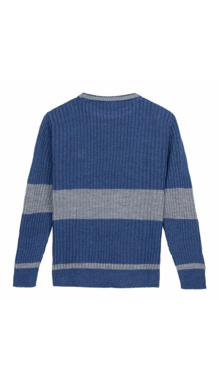 Pull homme Harry Potter Bleu XS