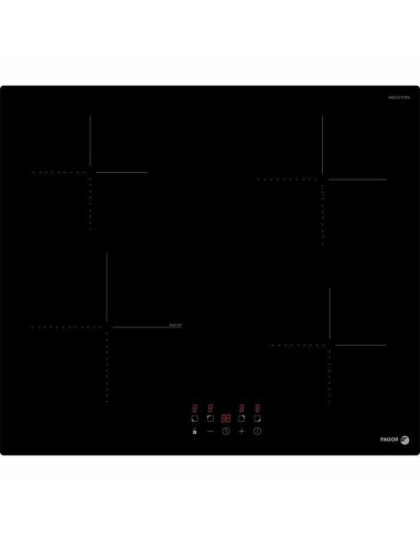 Induktionskochfeld Fagor