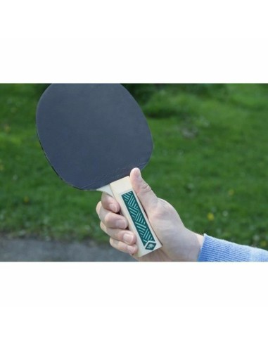Set Ping Pong Schildkröt