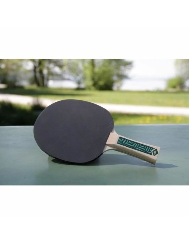 Set Ping Pong Schildkröt