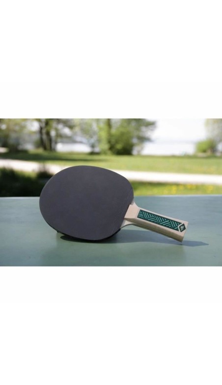Set Ping Pong Schildkröt