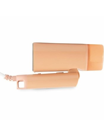 Fer à vapeur vertical DOMO 2