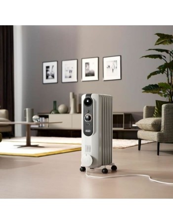 Verwarming DeLonghi 2