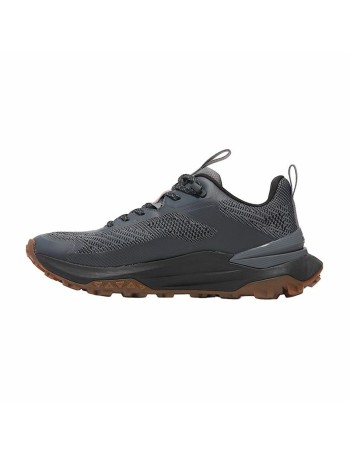 Scarpe Sportive Uomo Timberland Motion Access Low Lace Up Grigio scuro 2
