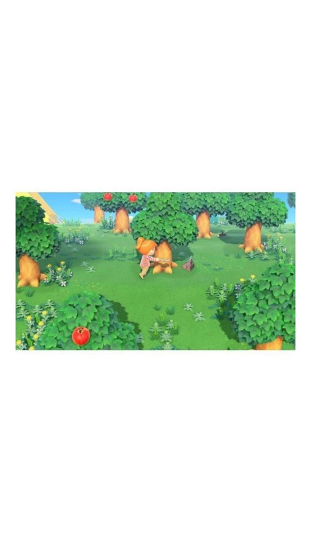 Jeu vidéo pour Switch Nintendo Animal Crossing: New Horizons