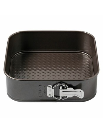 Springvorm Pan Pyrex Bruin Roestvrij staal