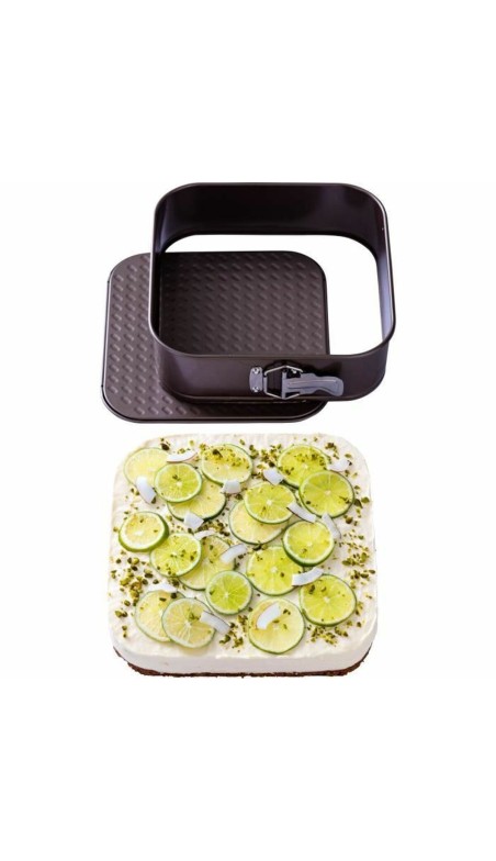 Moule amovible Pyrex Marron Acier inoxydable